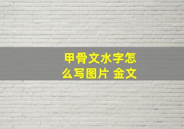 甲骨文水字怎么写图片 金文